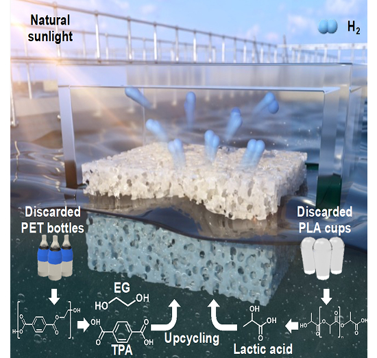 Catalytic Polymer Nanocomposite Device
