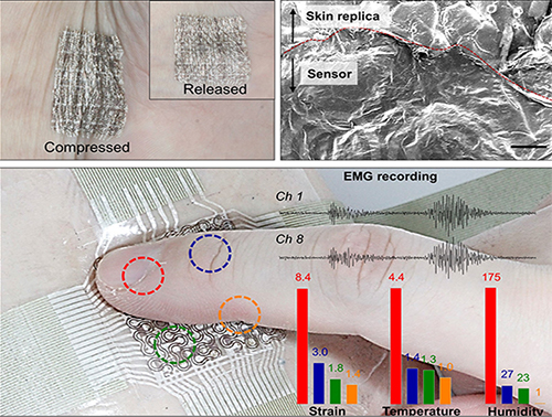 Stretchable Bioelectronics