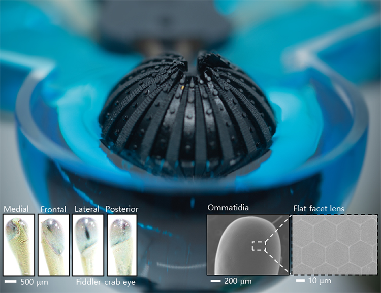 Bio-inspired artificial vision system for effective image acquisition and processing